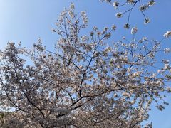 -苏州上方山国家森林公园