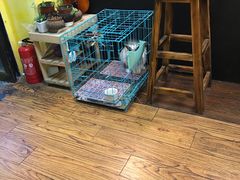 -志龙皇冠吃货椰子铺