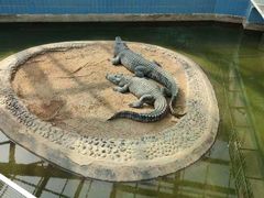 -太原动物园