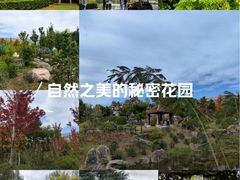 -郑州植物园