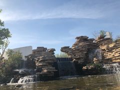 -石家庄市植物园