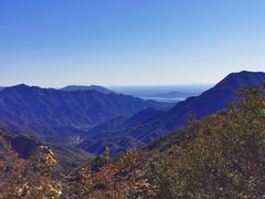 -大岭沟猕猴桃谷风景区