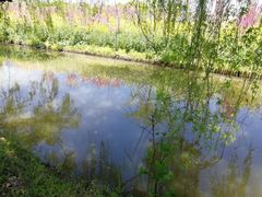 -南汇桃花村