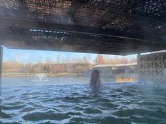 -春晖园度假酒店温泉