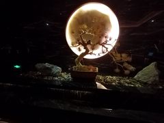 -足鹿中原养生连锁机构(缙云店)