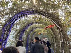 -沈阳植物园