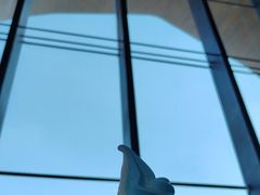 -抱抱地球咖啡馆(国家海洋博物馆店)