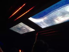 -海洋公园海洋列车－海滨站