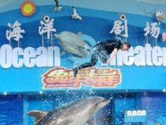 -苏州海洋馆