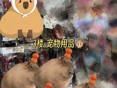 -秋叶原电器街