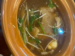 -大中鱼翅 Taitong Shark Fin