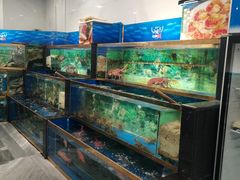 -小贝壳酒楼(经九路店)