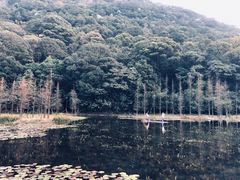 -广州市石门国家森林公园