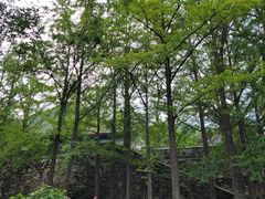 -阳台山自然风景区