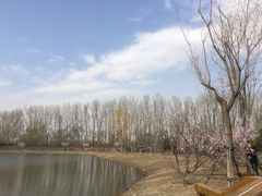 -东郊湿地公园