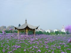 -杭州城北体育公园