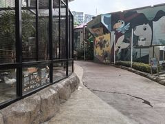 -海合安成都极地海洋公园