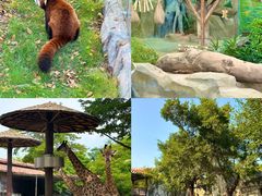 -灵玲国际马戏城