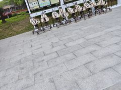 -顺峰山公园