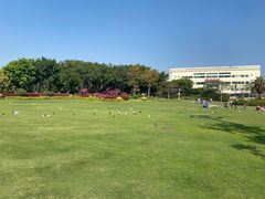 -白鹭洲公园