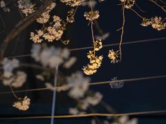 -鸡鸣寺