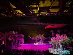 -三亚红色娘子军演艺公园景区