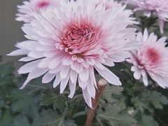 -汇龙潭