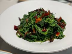 鸡油枞拌丝瓜尖-一品滇香·云南菜(公益西桥店)
