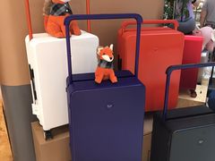 -巴黎春天(浦建店)
