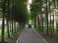 -柳鹭田园区