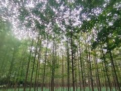 -河南省黄河迎宾馆