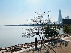 -深圳湾公园(南山区)