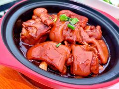 鲍汁猪手煲-大树餐厅(万达创始店)