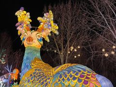 -淄博花灯齐彩城