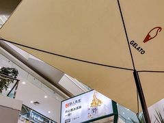 -野人先生Gelato(上海长宁龙之梦店)