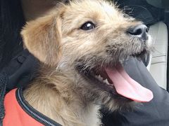 -嘉馨宠物医院·CT影像转诊·心脏科·犬猫全科诊疗中心(下沙大学城院区)