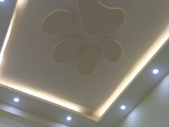 -瑞派宠物医院·24小时骨科·心脏·核磁(哈尔滨南岗店)