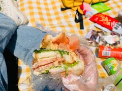 -日照灯塔风景区