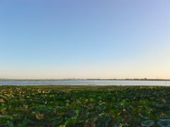 -莲花岛景区