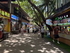 -海南分界洲岛旅游区