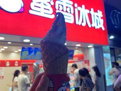 -蜜雪冰城(托乐嘉店)