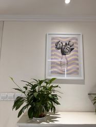 -SILKTONE诗丽堂美容