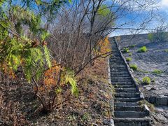 -白水寺森林公园