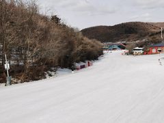 -东北亚滑雪场