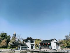 -红梅公园