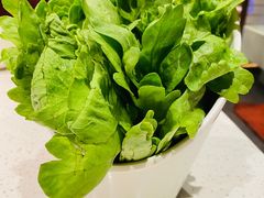 -牛村来人潮汕牛肉火锅(西单店)