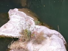 -百里山水画廊乌龙峡谷