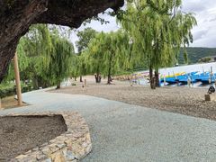 -泸沽湖里格半岛