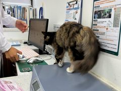 -心仪动物医院·牙专科·肿瘤·心脏科(西客站院)