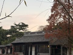 -水绘园